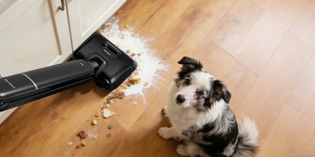 A dog watches a vacuum cleaner clean up a spill.